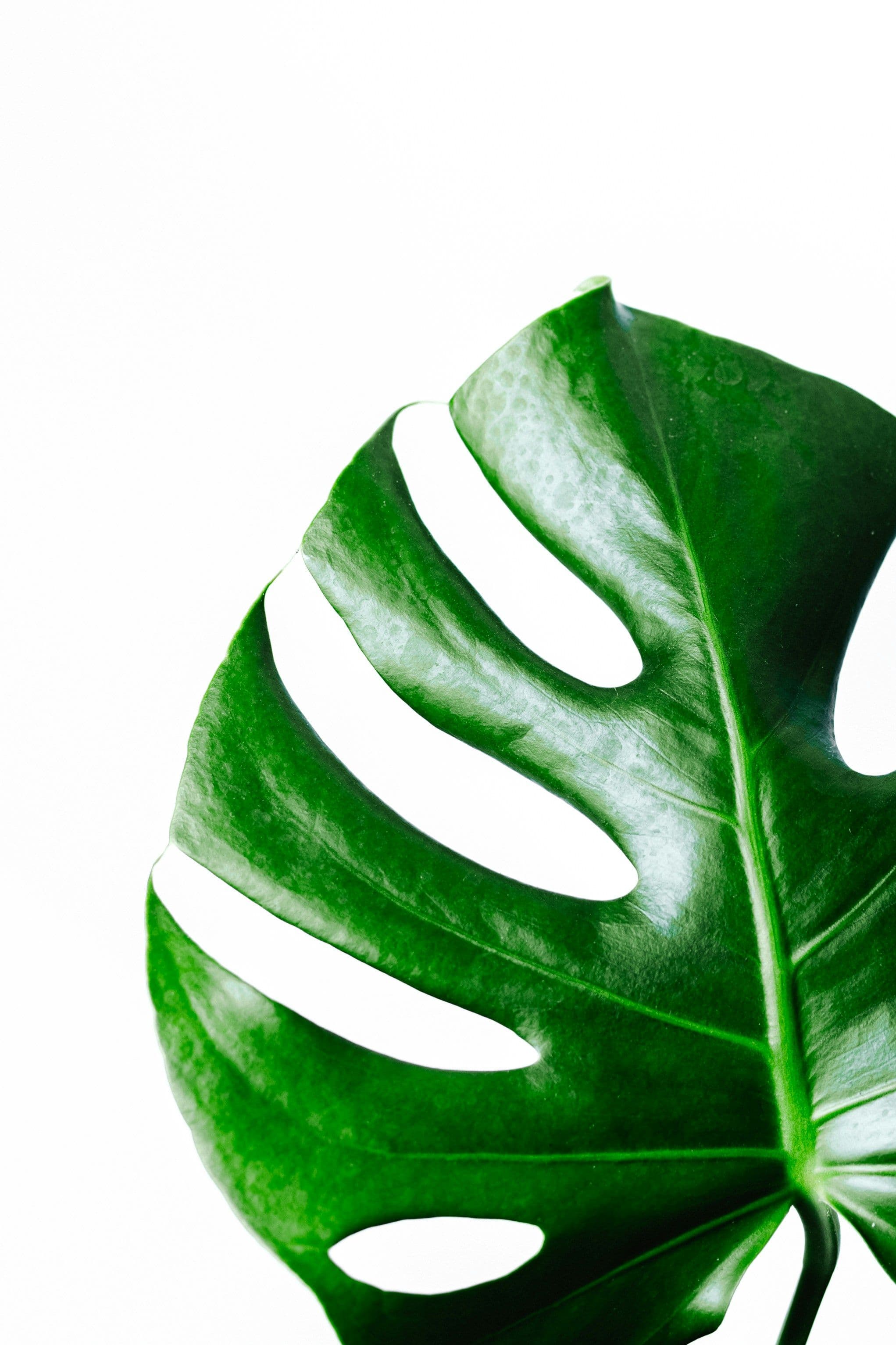 The 2026 ESG Landscape: What Every CEO Needs to Know