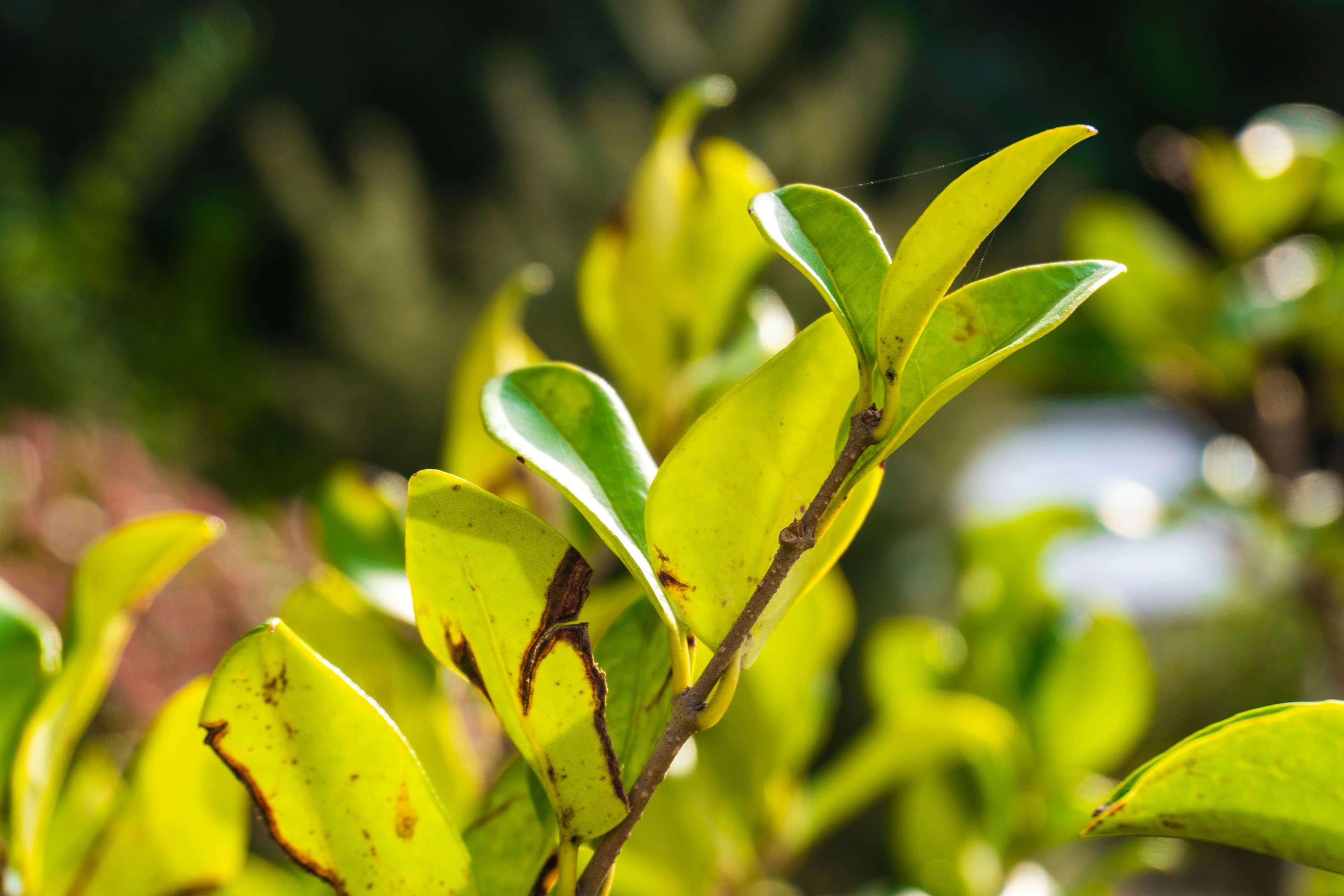 Create a Carbon Emissions Report Without a Consultant