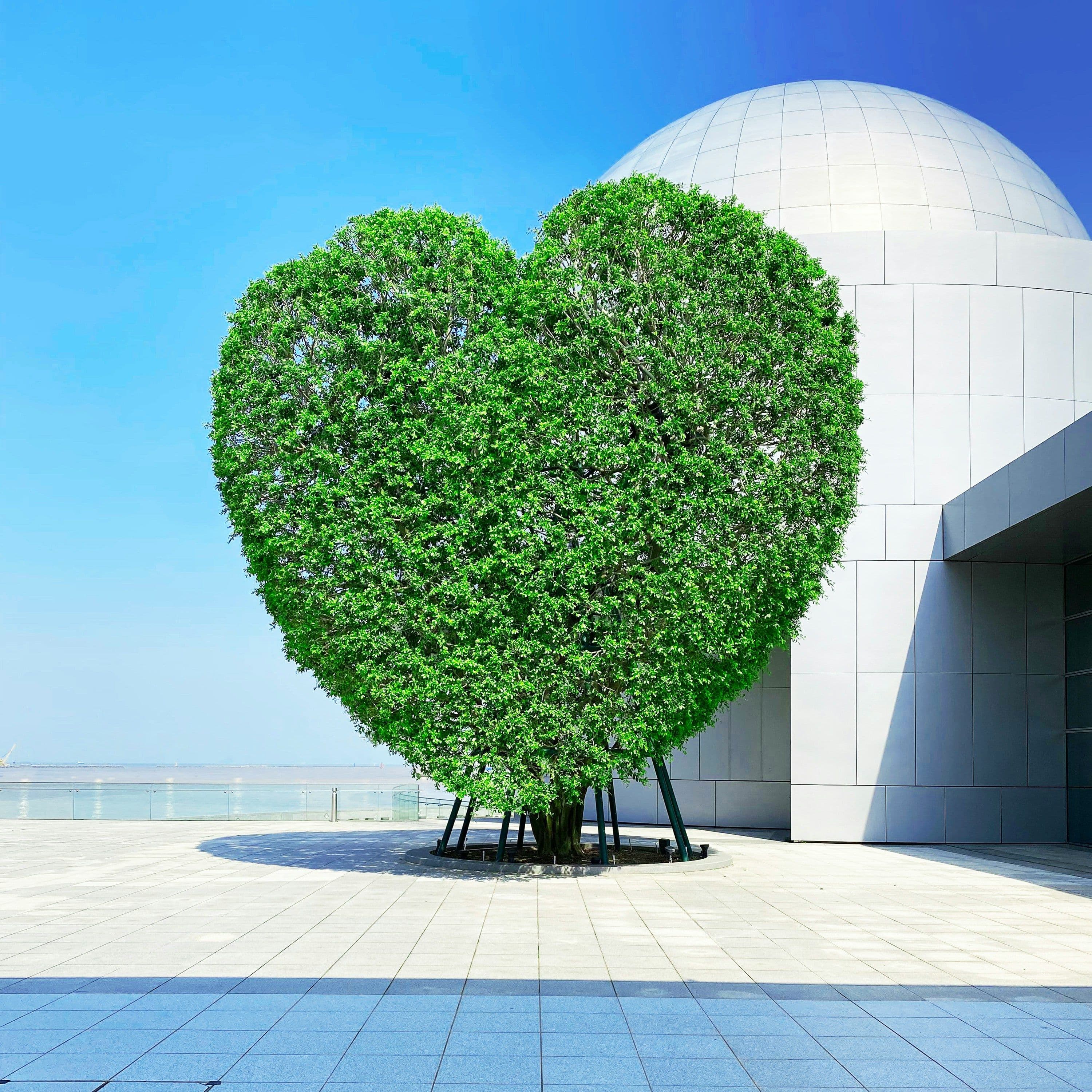 How to Prepare for Your First ESG Audit