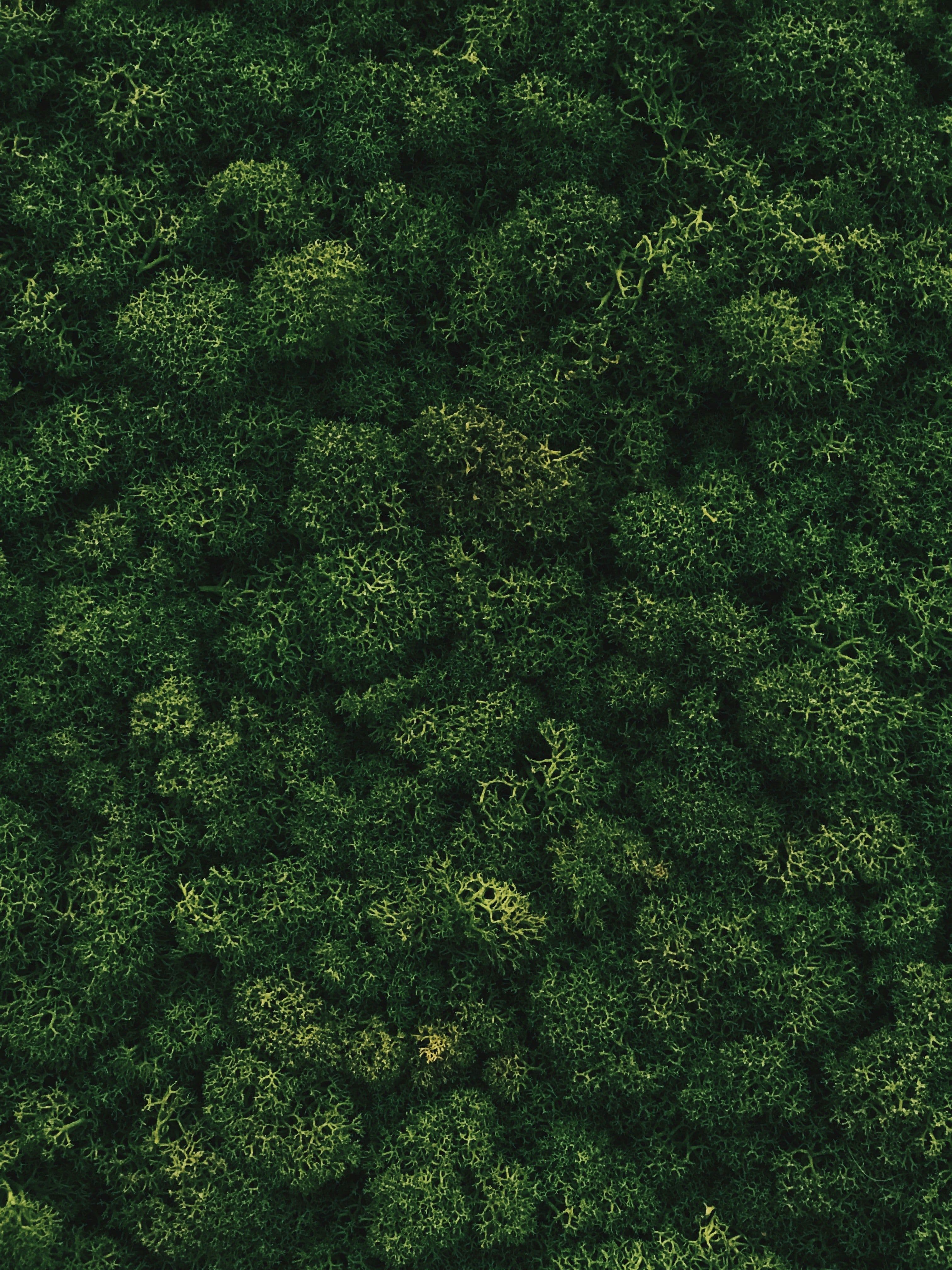 CSRD Supplier Carbon Reporting: SMB Guide